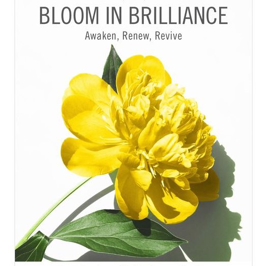 Bloom in Brilliance - Awaken, Renew, Revive